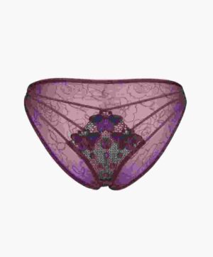 Embroidery Mesh Lingerie